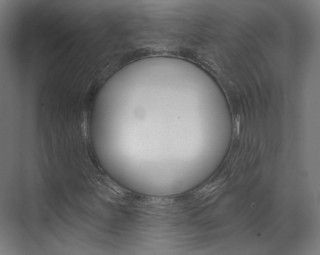 X0000074041251200608211153