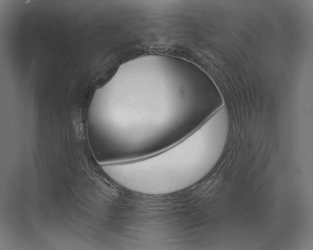 X0000074041252200608211153