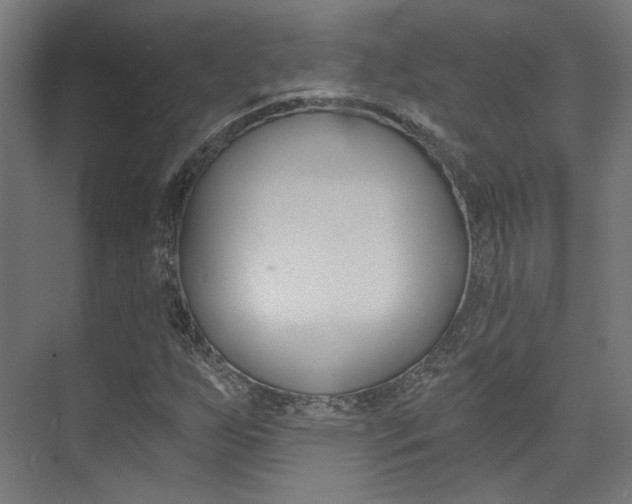 X0000074041255200608211153