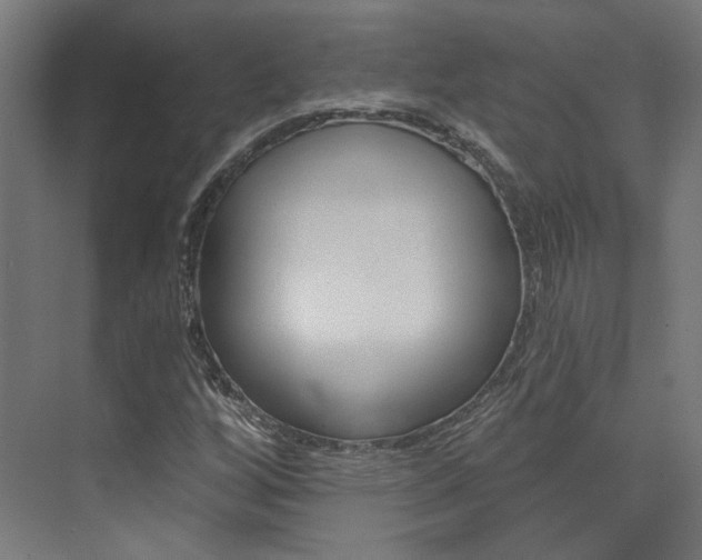 X0000074041256200608211153