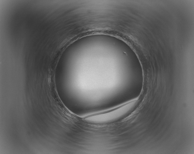 X0000074041257200608211153
