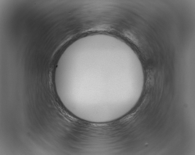 X0000074041258200608211153
