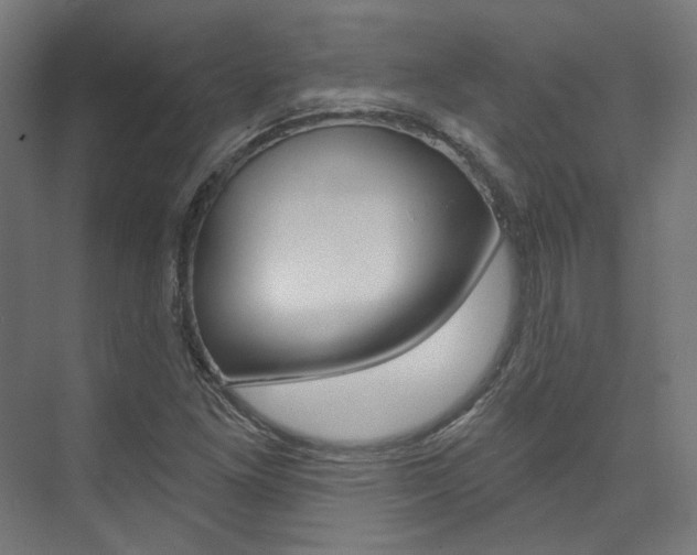 X0000074041261200608211153
