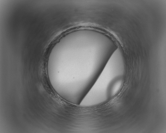 X0000074041263200608211153