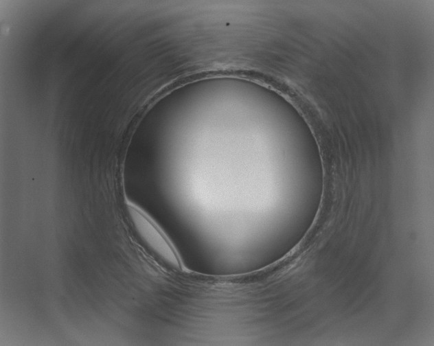 X0000074041265200608211153
