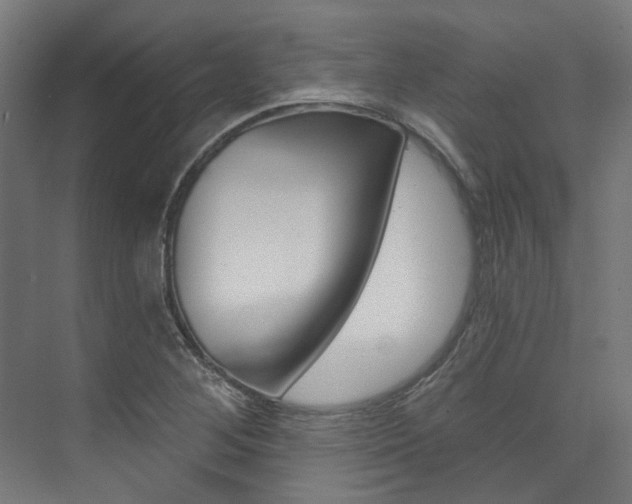 X0000074041268200608211153