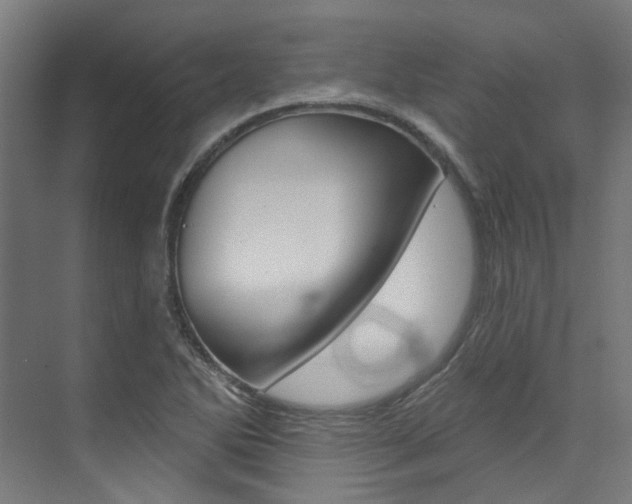 X0000074041270200608211153