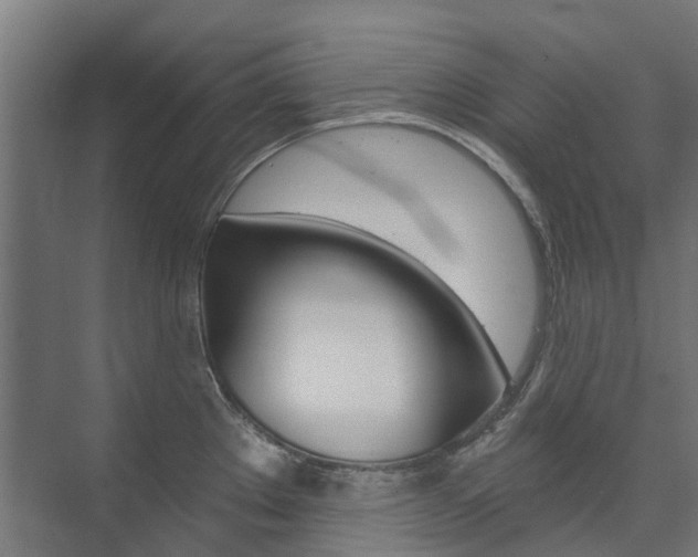 X0000074041289200608211152
