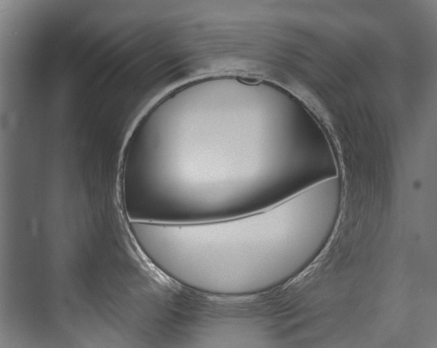 X0000074041296200608211152