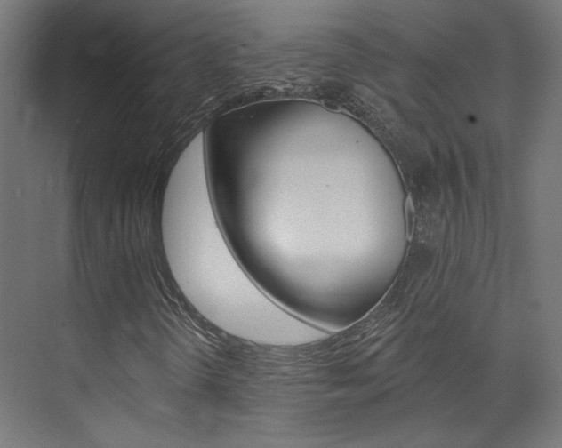 X0000074041298200608211151