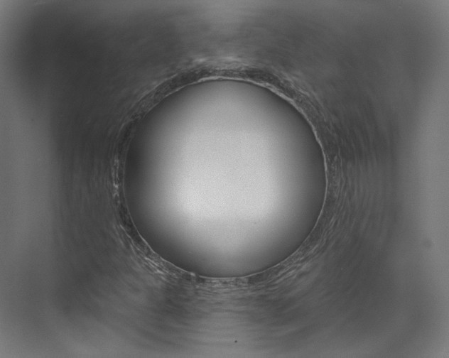 X0000074041301200608211151
