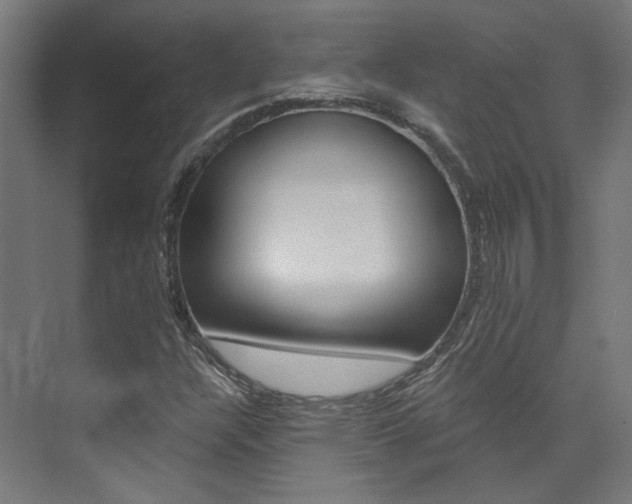 X0000074041304200608211152