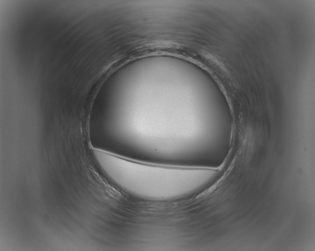 X0000074041305200608211152