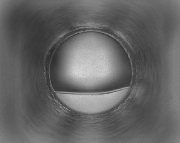 X0000074041307200608211152