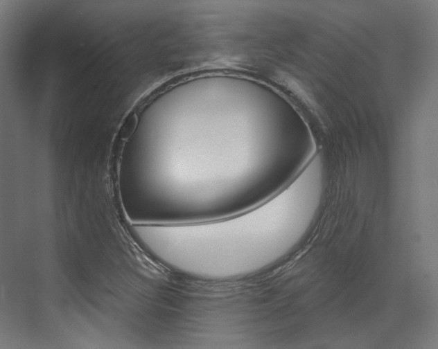 X0000074041308200608211152