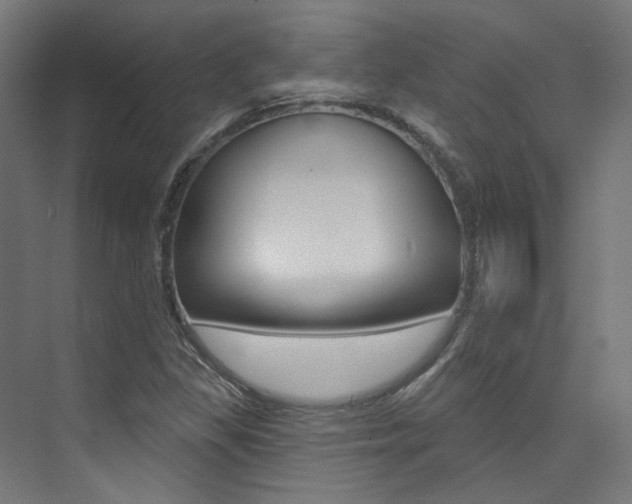 X0000074041309200608211152