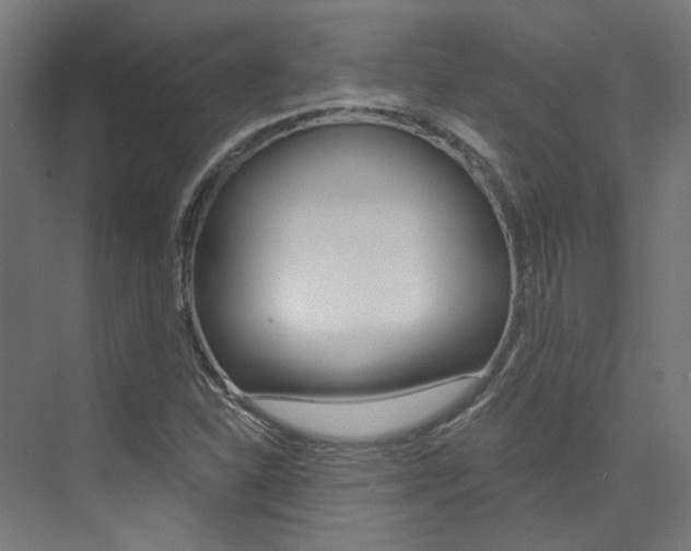 X0000074041310200608211152