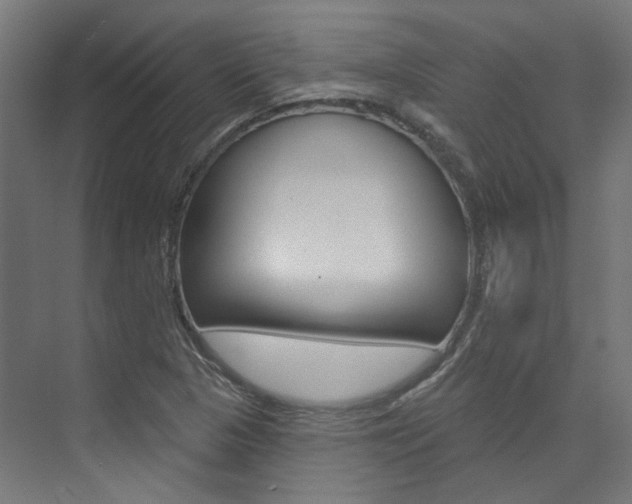 X0000074041313200608211152