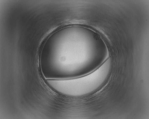 X0000074041317200608211152