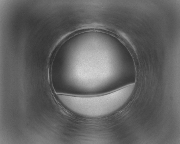 X0000074041320200608211152