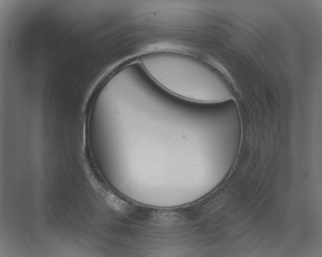 X0000074041323200608211152
