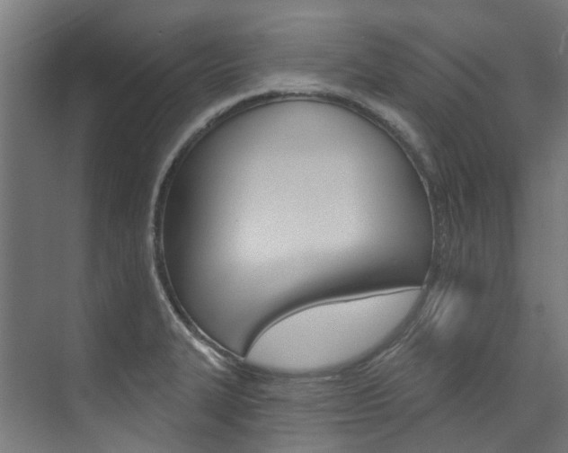 X0000074041327200608211152