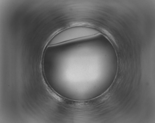 X0000074041330200608211152