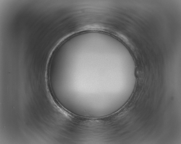 X0000074041331200608211152