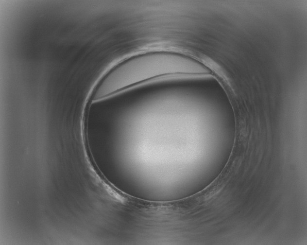 X0000074041334200608211152