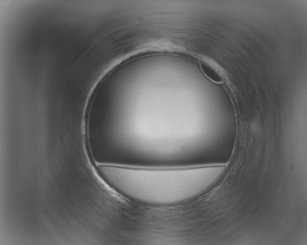 X0000074041335200608211152