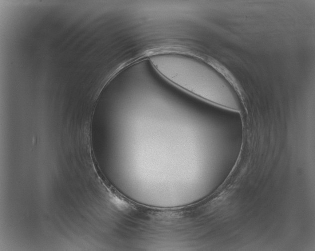 X0000074041337200608211152