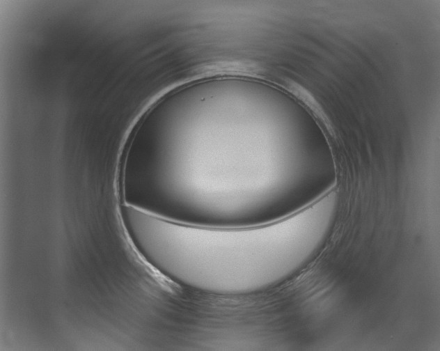 X0000074041339200608211152