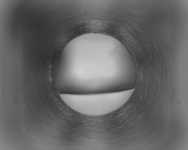 X0000074041346200608211151