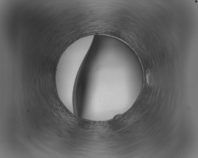 X0000074041347200608211151