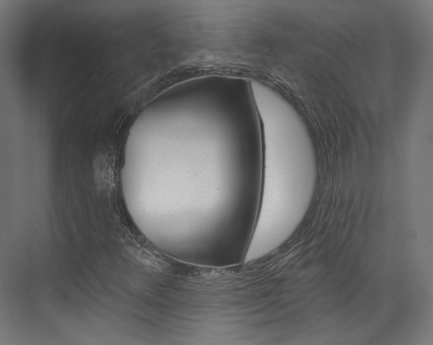 X0000074041348200608211151
