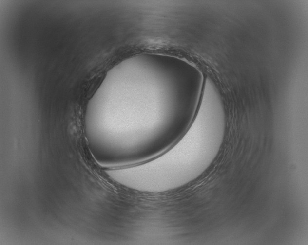 X0000074041349200608211151