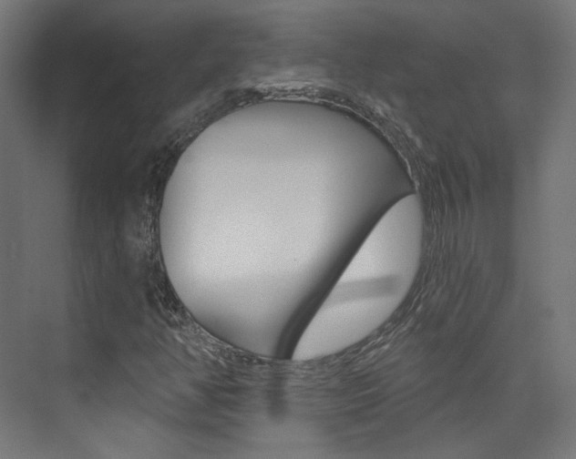 X0000074041350200608211151