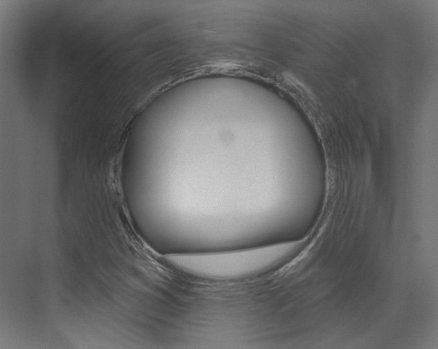 X0000074041353200608211151