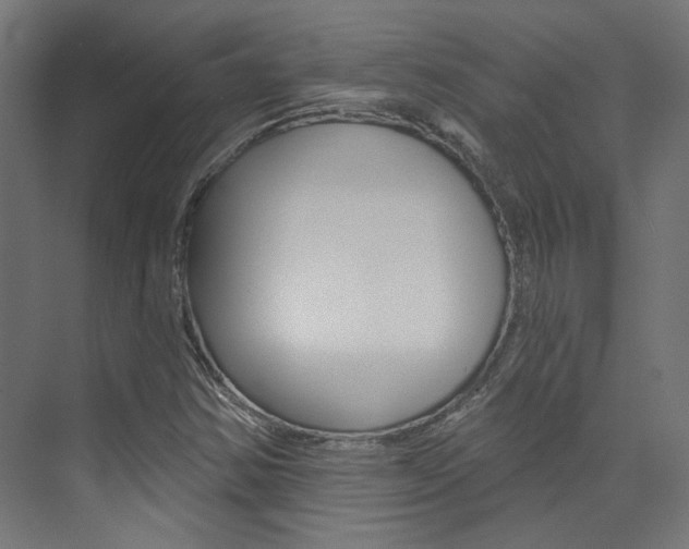 X0000074041354200608211151