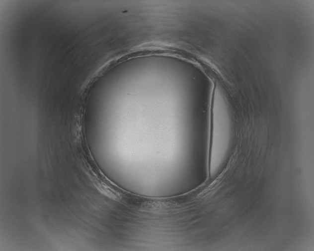 X0000074041355200608211151