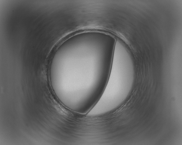 X0000074041356200608211151