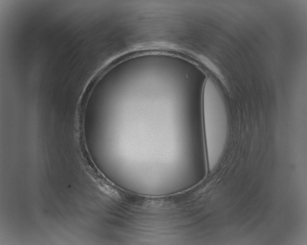 X0000074041364200608211151