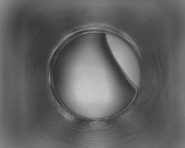 X0000074041368200608211151