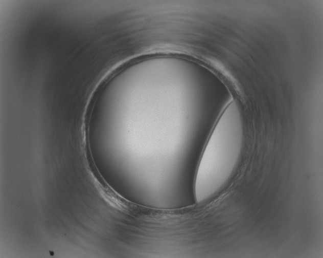 X0000074041372200608211151