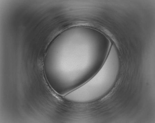 X0000074041377200608211151