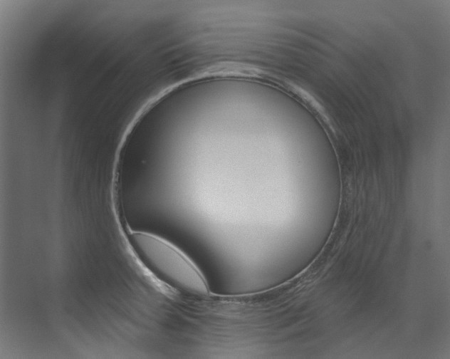 X0000074041379200608211151