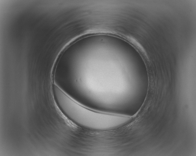 X0000074041380200608211151