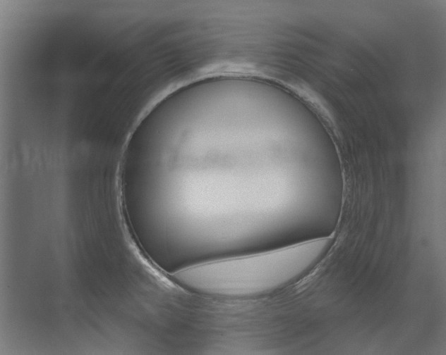 X0000074041382200608211151
