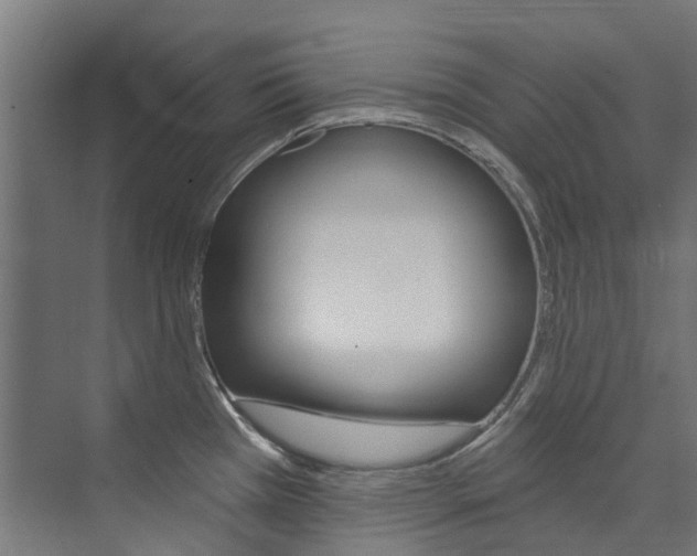 X0000074041385200608211151