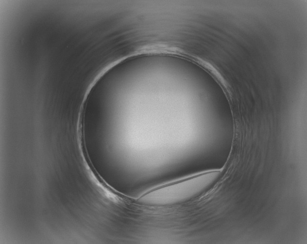 X0000074041387200608211151